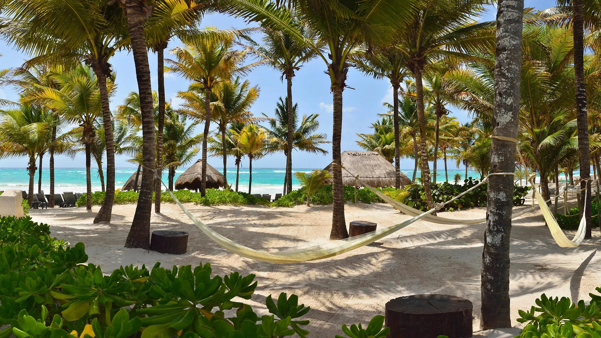 Catalonia Royal Tulum - Adults Only Otel Puerto Aventuras Meksika